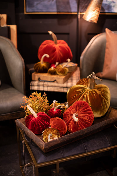 Take Fall Color Up a Notch With Plush Pumpkins