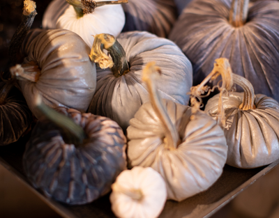 4 Reasons You Need to Try Plush Pumpkins